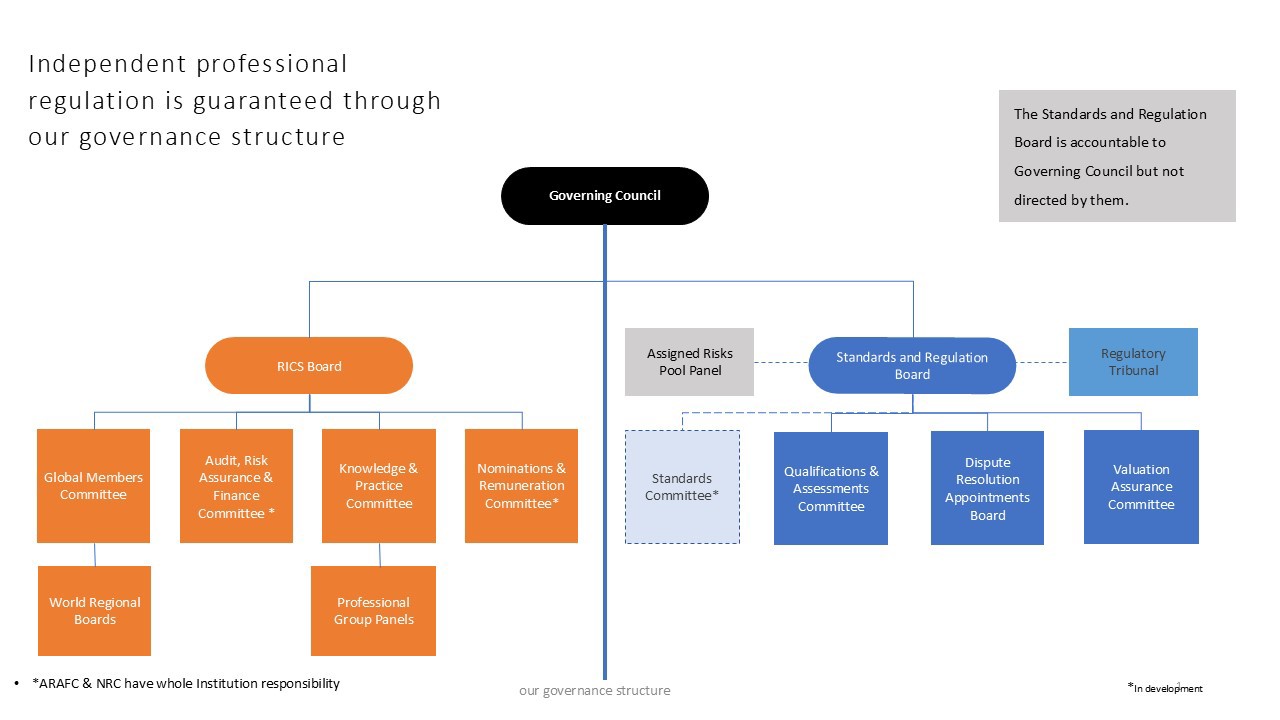 RICS governance structure