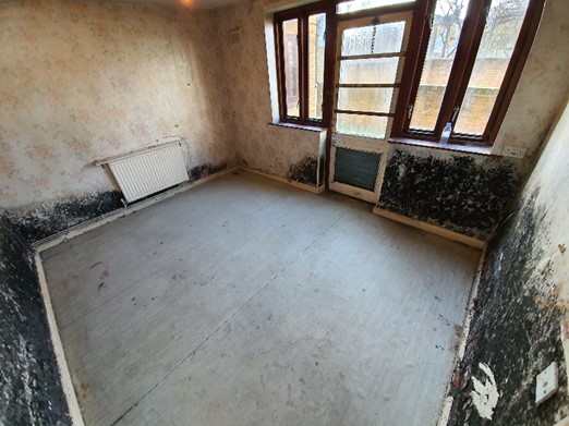 A photograph of a ground-floor, wallpapered room with large windows along the far wall. There is black mould along the lower parts of all four walls.