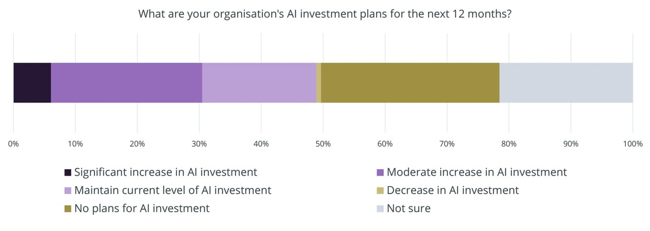 Figure 6: Organisation investment plans for AI in the next 12 months