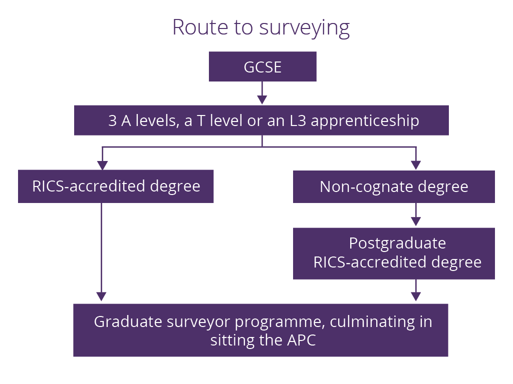 A route to surveying diagram showing that after GCSE's and further education it's possible to take a RICS accredited degree then move to a graduate surveyor programme, or take a non-cognate degree, postgraduate RICS accredited degree and then graduate surveyor programme